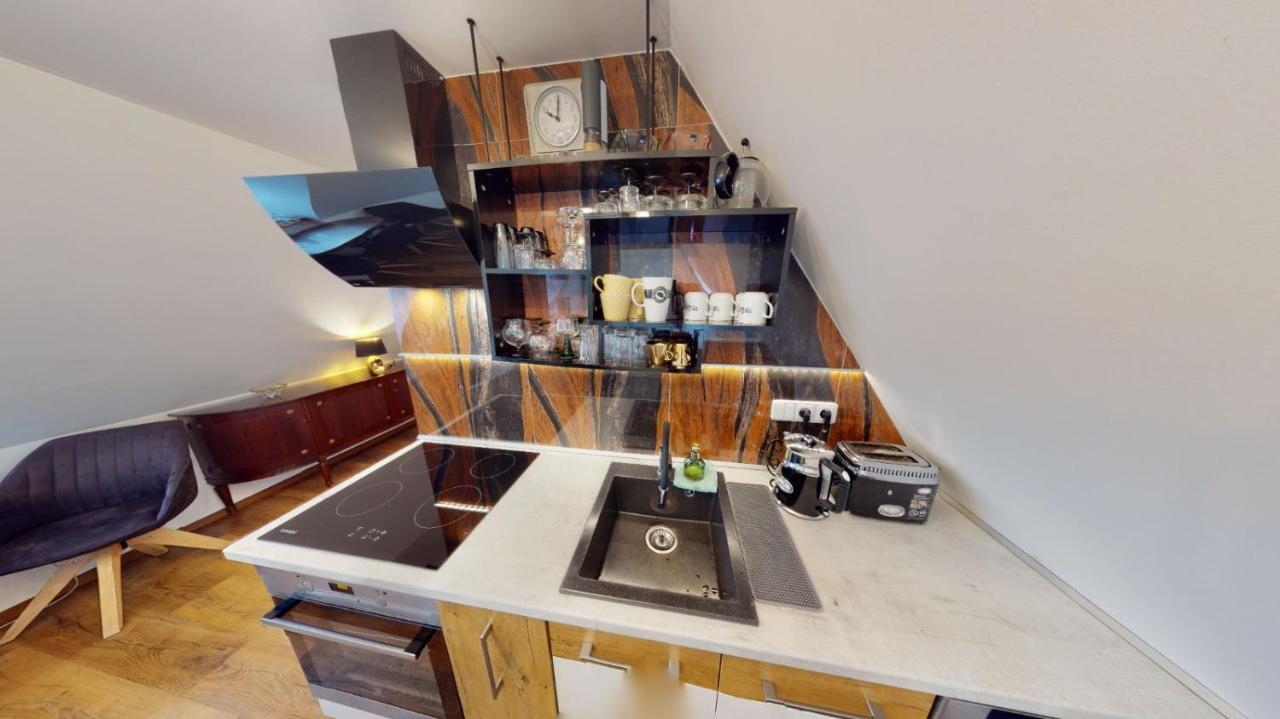 Apartman Atelier Vary V Nove Zrekonstruovanem Dome Karlovy Vary Exterior foto